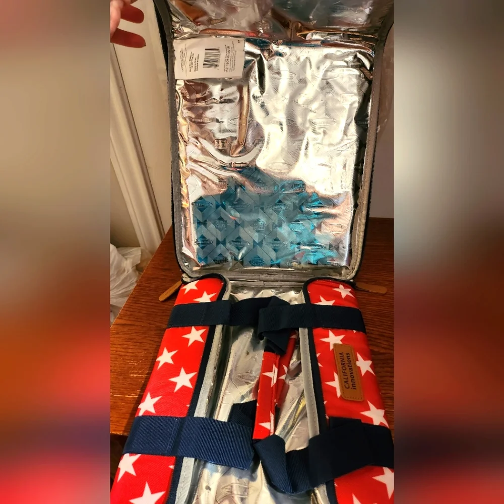 California Innovations 2 Pack Thermal Carrier NWT